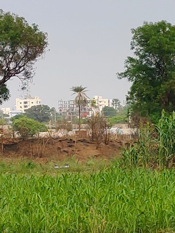 Plot Area in  Plot at Annaram – for Sale