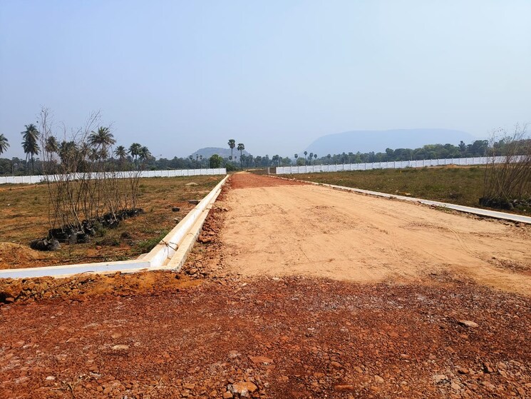 undefined, sabbavaram  205 Sq.Yd. Plot In Sabbavaram Vizag 8752709
