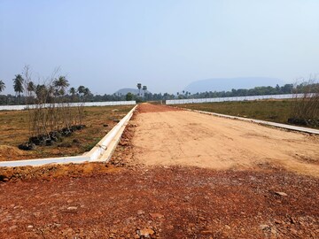 Plot Area in  Plot at Sector 67 – for Sale