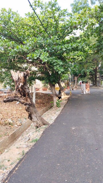 Plot Area in  Plot at Nagavara – for Sale
