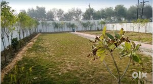  Plot For Sale in Sultanpur