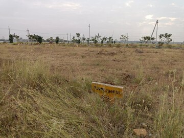 Plot Area in  Land at Hampapuram – for Sale