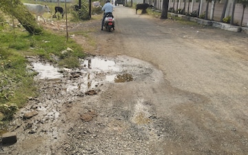 Plot For Sale in Bagmugaliya
