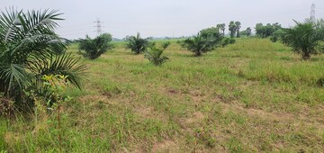 Plot Area in  Land at Konijerla – for Sale