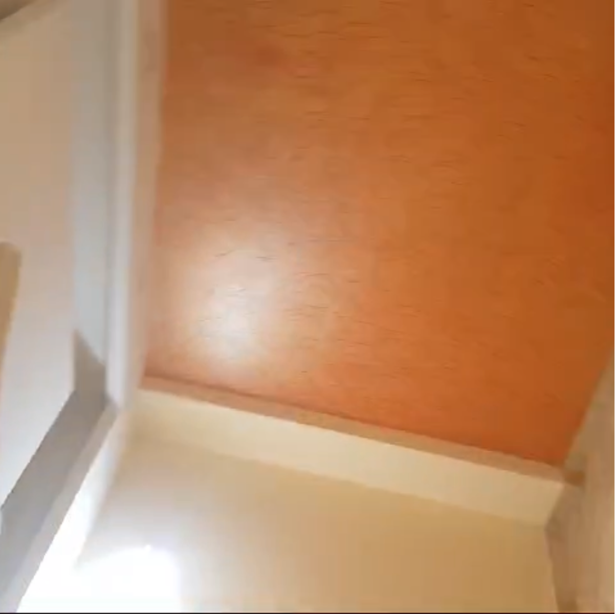 3.5 BHK + Study Room Builder Floor For Rent in Malviya Nagar