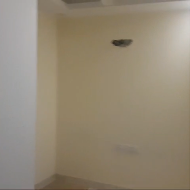 Room, malviya nagar 3.5 Bedroom 1100 Sq.Ft. Builder Floor In Malviya Nagar Delhi 8753573