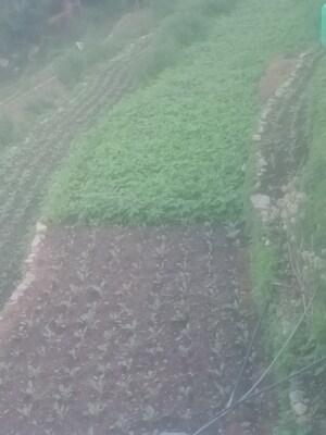  Land – Exterior View View at Bhimtal - for Sale