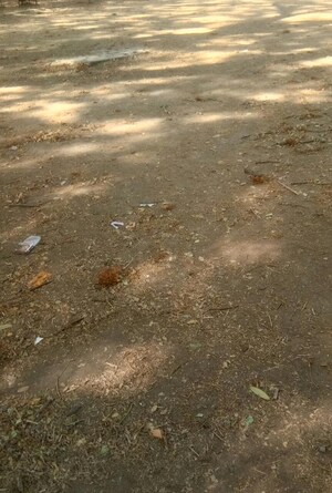  Plot For Sale in Shankar Nagar