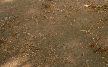 Plot For Sale in Shankar Nagar