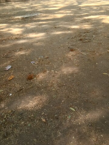  Plot For Sale in Shivaji Nagar