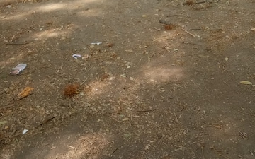 Plot For Sale in Shivaji Nagar