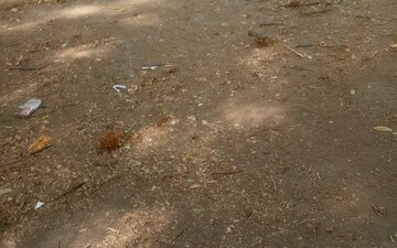 Plot For Sale in Shivaji Nagar