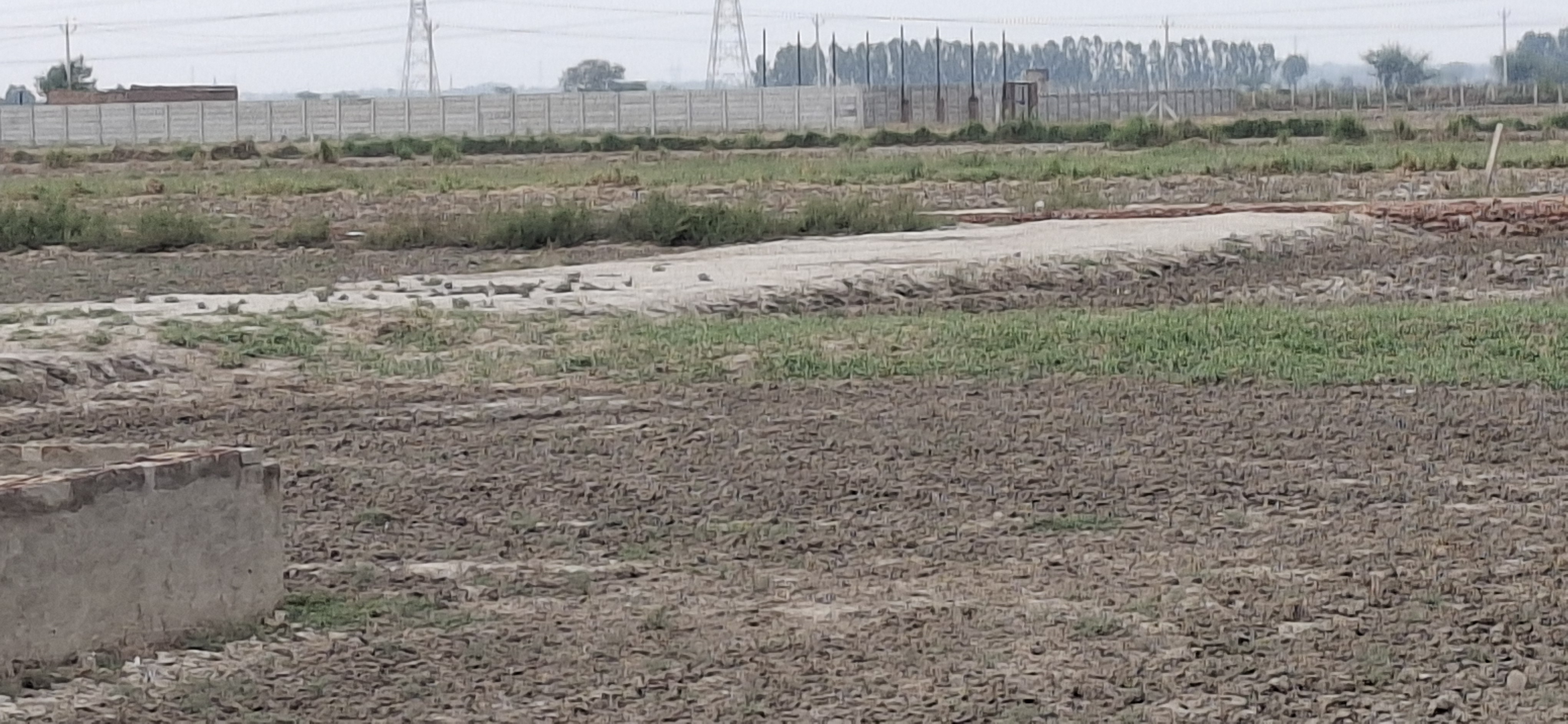 Plot For Sale in Mk Propty 