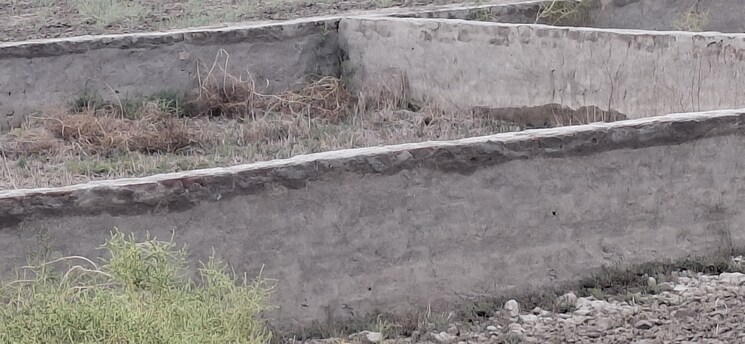 undefined, jewar  101 Sq.Yd. Plot In Jewar Greater Noida 8753957