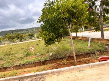 Plot Area in  Plot at Mysore Road – for Sale