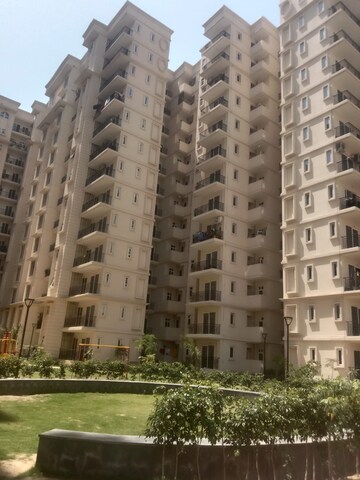 2.5 BHK Apartment For Rent in Signature The Serenas, Sohna Sector 36