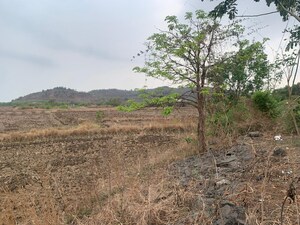 Plot Area in  Plot at Uran – for Sale