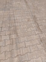 270 Sq.Yd. Plot in Sector 12