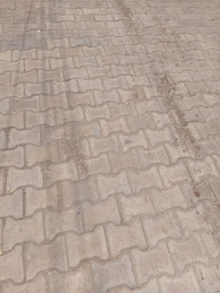 Plot For Sale in Sector 12