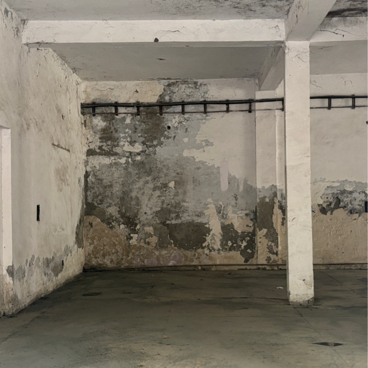 Exterior View, dlf-industrial-estate Commercial Industrial Plot 15000 Sq.Ft. In Ip Colony Faridabad 8754347