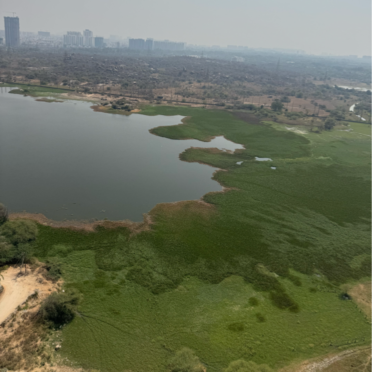 Nearby, aparna-sarovar-zenith 4 Bedroom 2700 Sq.Ft. Apartment In Nallagandla Hyderabad 8754550