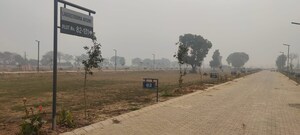 Plot Area in  Plot at Adore Smart City, Sector 97 – for Sale