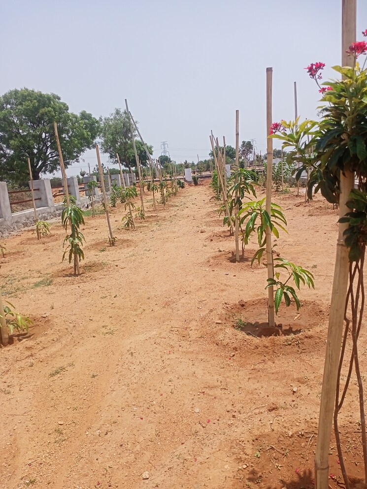 undefined, aduri-golden-heights  150 Sq.Yd. Plot In Shadnagar Hyderabad 8754587