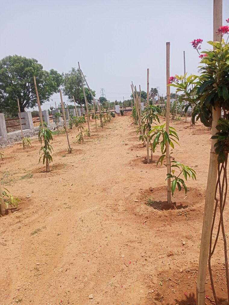 undefined, aduri-golden-heights  150 Sq.Yd. Plot In Shadnagar Hyderabad 8754587