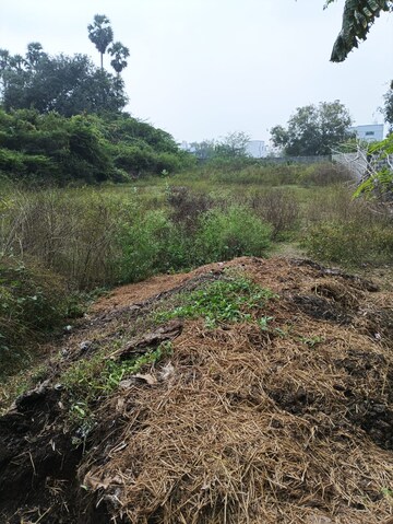  Plot For Sale in Urapakkam