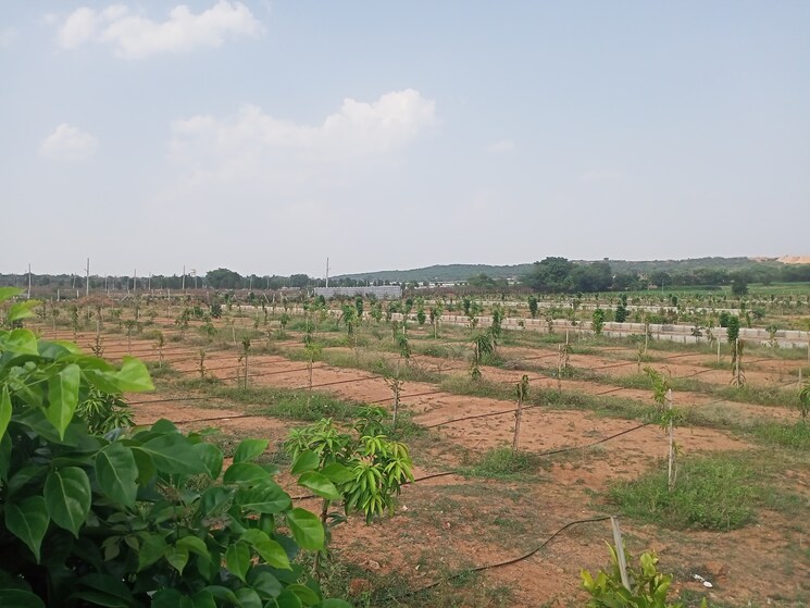 undefined, aduri-dream-valley  121 Sq.Yd. Plot In Vittyal Hyderabad 8754614