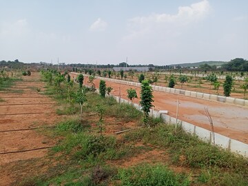  Plot For Sale in Aduri Dream Valley, Vittyal