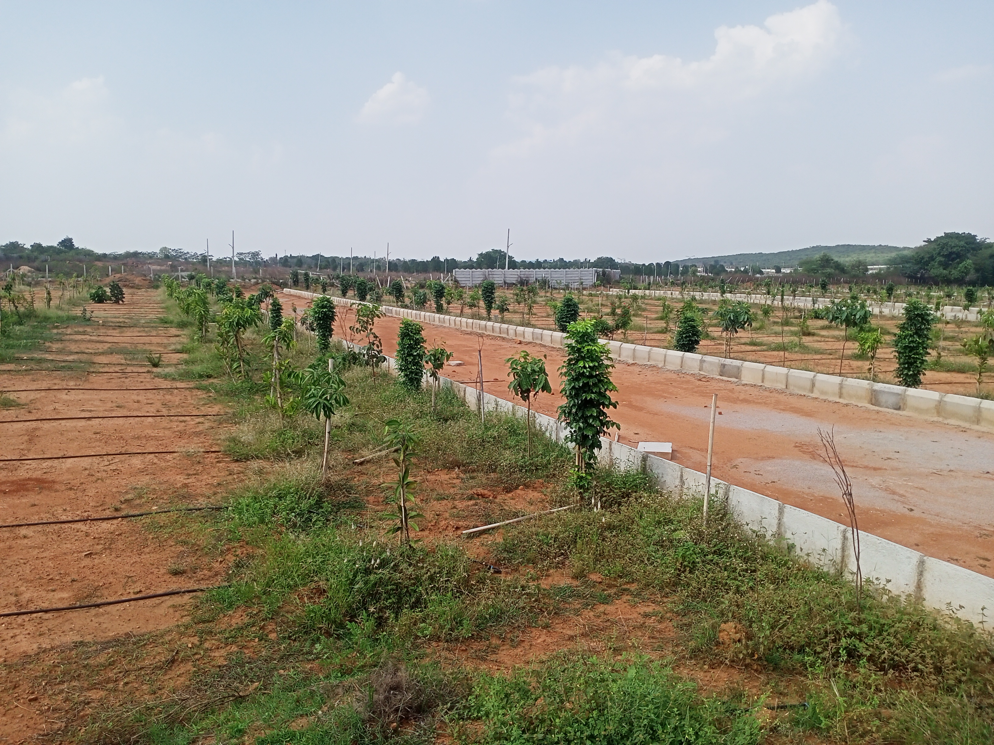 Plot For Sale in Aduri Dream Valley