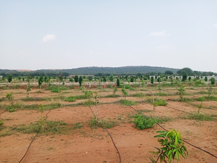 undefined, aduri-dream-valley  121 Sq.Yd. Plot In Vittyal Hyderabad 8754614