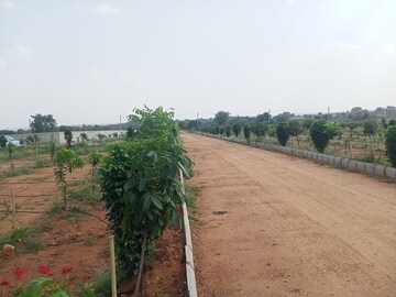 Plot Area in  Plot at Aduri Dream Valley, Vittyal – for Sale