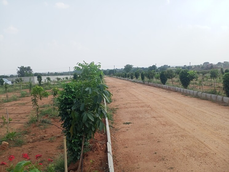 undefined, aduri-dream-valley  121 Sq.Yd. Plot In Vittyal Hyderabad 8754614