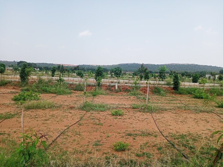 undefined, aduri-dream-valley  121 Sq.Yd. Plot In Vittyal Hyderabad 8754614