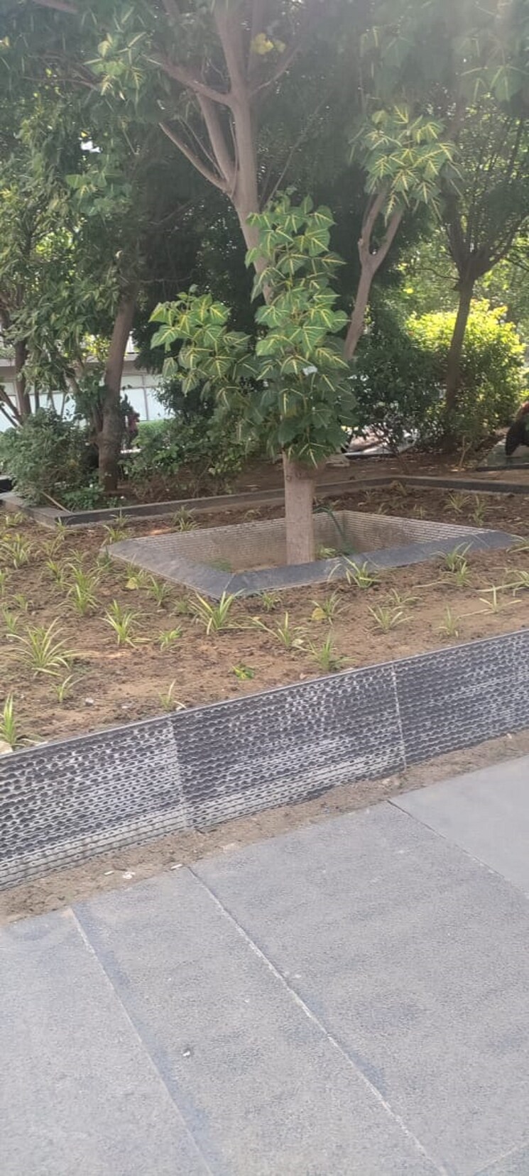 Swimming Pool, hn-safal-profitaire Commercial Office Space 2735 Sq.Ft. In Prahlad Nagar Ahmedabad 8754641