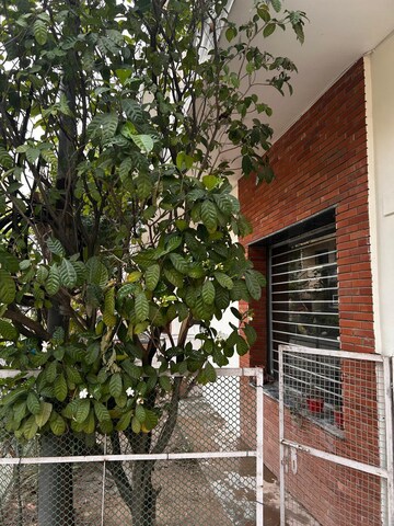 3 BHK Independent House – Exterior View View at Sector 17 - for Rent