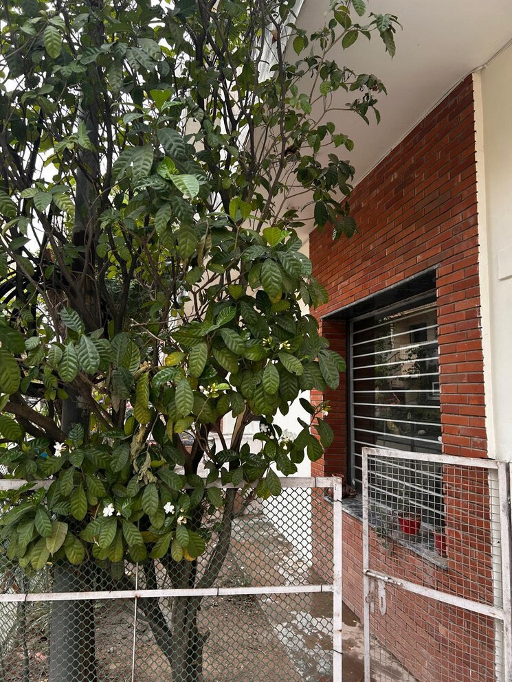 Exterior View, sector 17 3 Bedroom 1500 Sq.Ft. Independent House In Sector 17 Panchkula 8754832