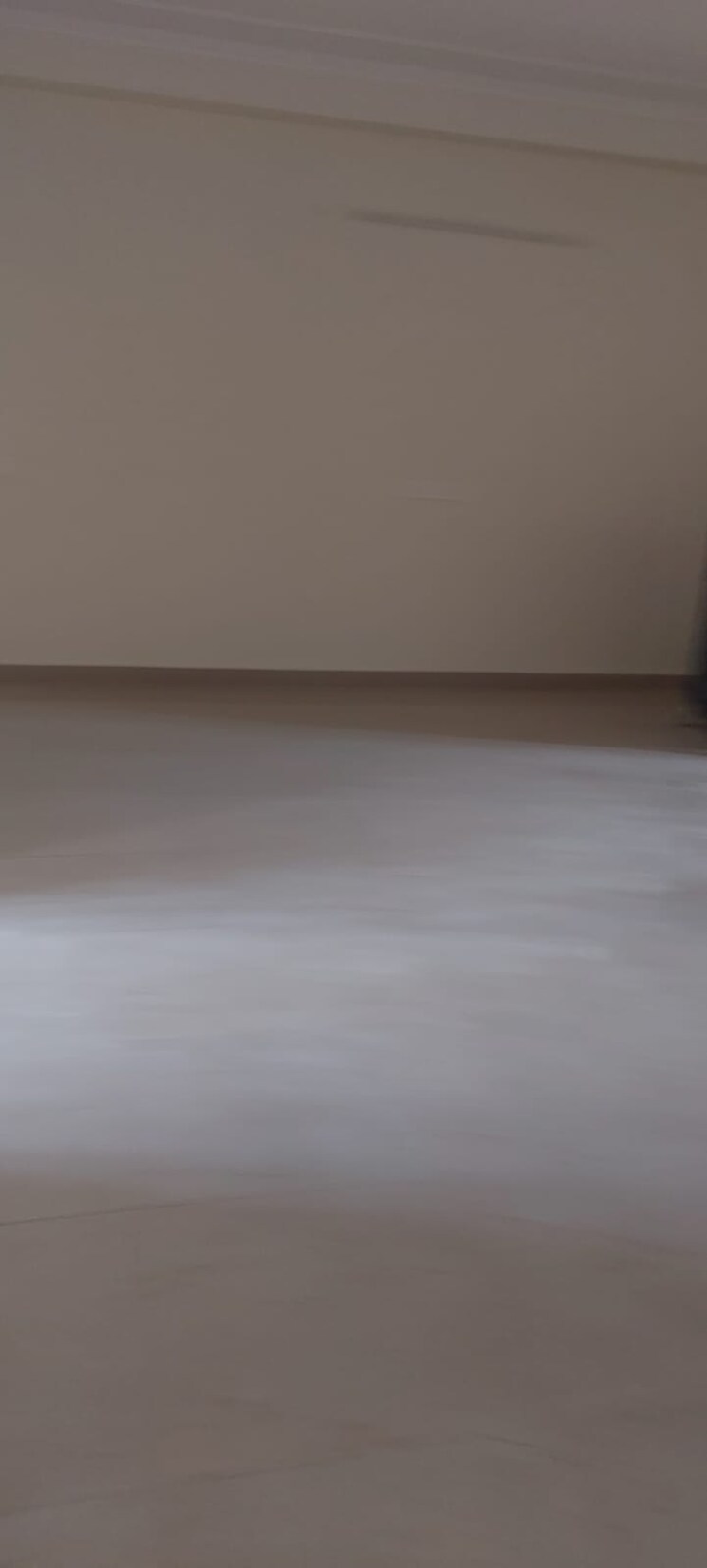 Room, pragati-hills 3 Bedroom 2600 Sq.Ft. Builder Floor In Sector 47 Gurgaon 8754847