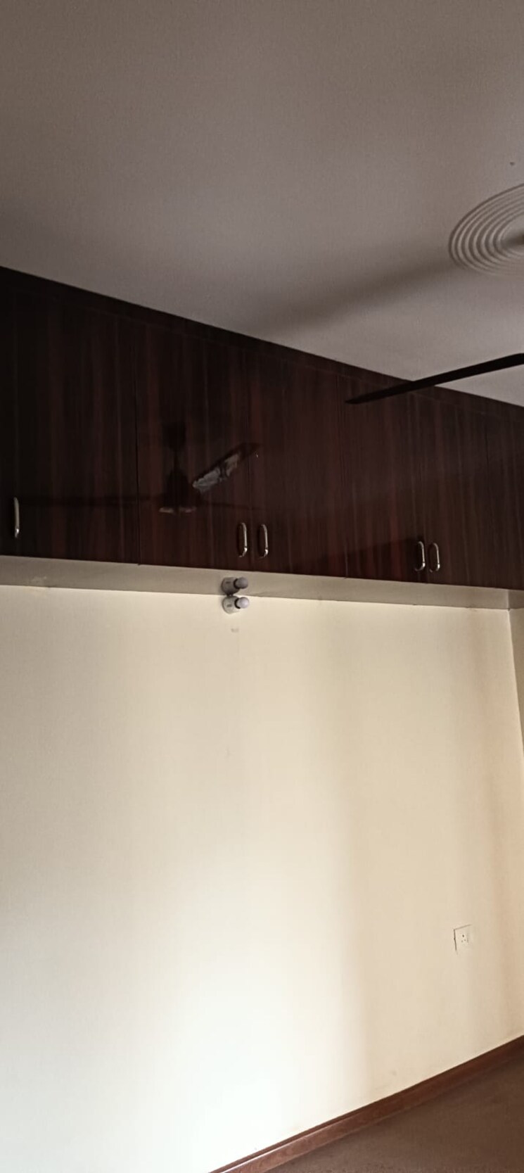 undefined, panchsheel-greens-ii 2 Bedroom 800 Sq.Ft. Apartment In Sector 16 Greater Noida Greater Noida 8754890