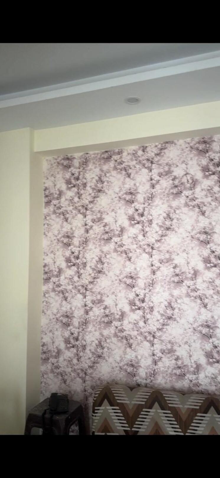 Room, panchsheel-greens-ii 2 Bedroom 800 Sq.Ft. Apartment In Sector 16 Greater Noida Greater Noida 8754890