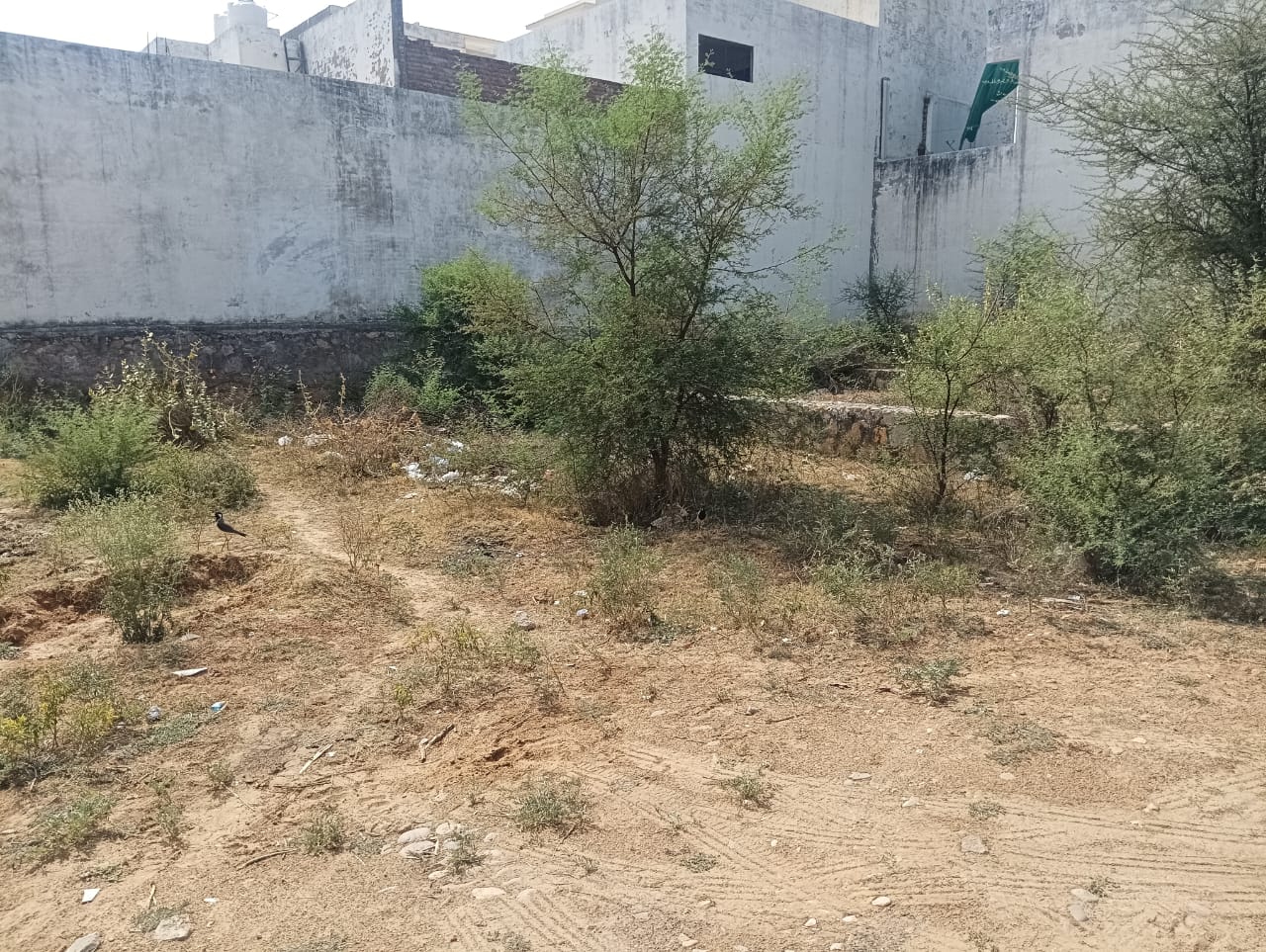 Plot For Sale in Mahal Road