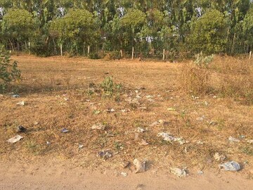  Plot For Sale in Sector 115