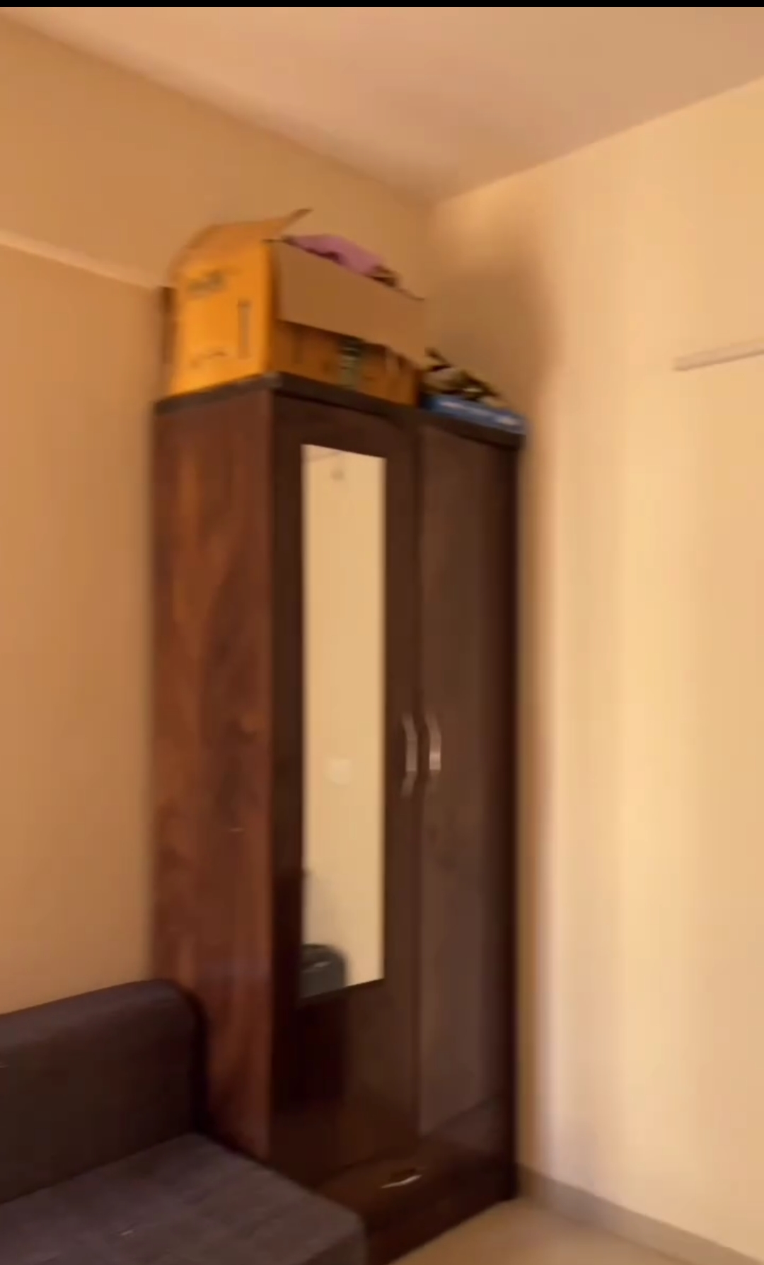 2 BHK 808 Sq.Ft. Apartment in Wave Dream Homes