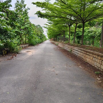 Plot Area in  Plot at Medchal – for Sale