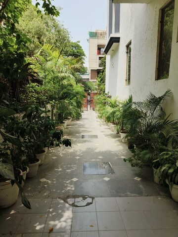 1 BHK Builder Floor – Exterior View View at Greater Kailash I - for Rent