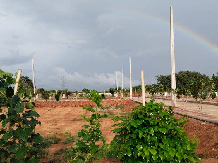 Garden, sector 6  171 Sq.Yd. Plot In Sector 6 Faridabad 8755776