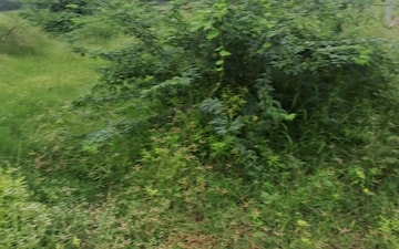 Plot For Sale in Sohna