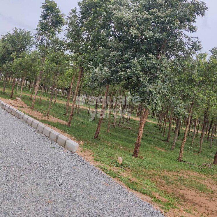 undefined, bandar road  195 Sq.Yd. Plot In Bandar Road Vijayawada 8755986